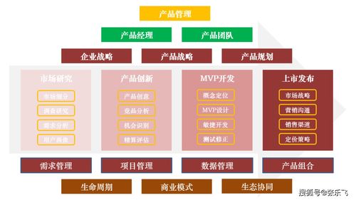 张乐飞的MVP实践之道 从项目策划到公关服务的完整闭环